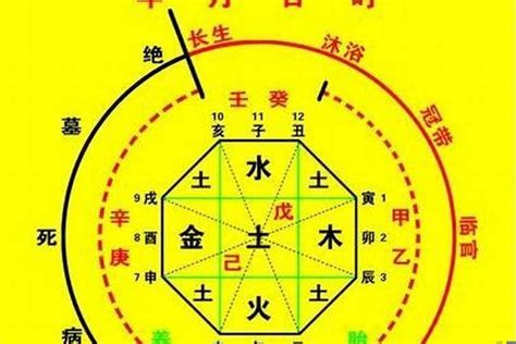 調侯用神|八字捉用神（四） 調候用神